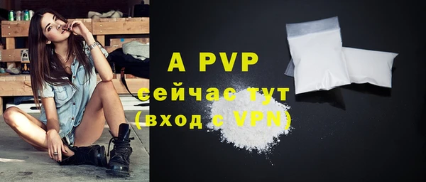 спиды Осташков