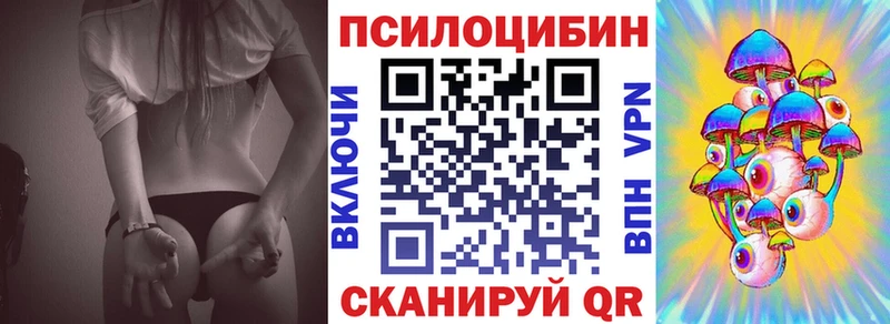 Купить закладки  Дыгулыбгей  Галлюциногенные грибы Psilocybine cubensis 